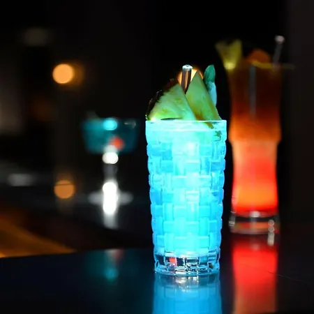 Radisson Blu Senator Hotel, Ξενοδοχείο