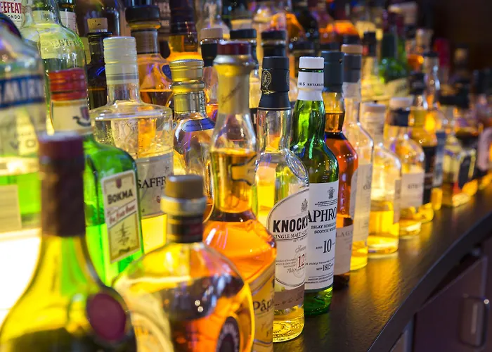 Radisson Blu Senator Hotel, Hotell