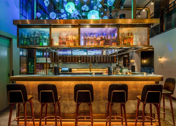 酒店 鲁贝克参议员丽笙酒店 5*